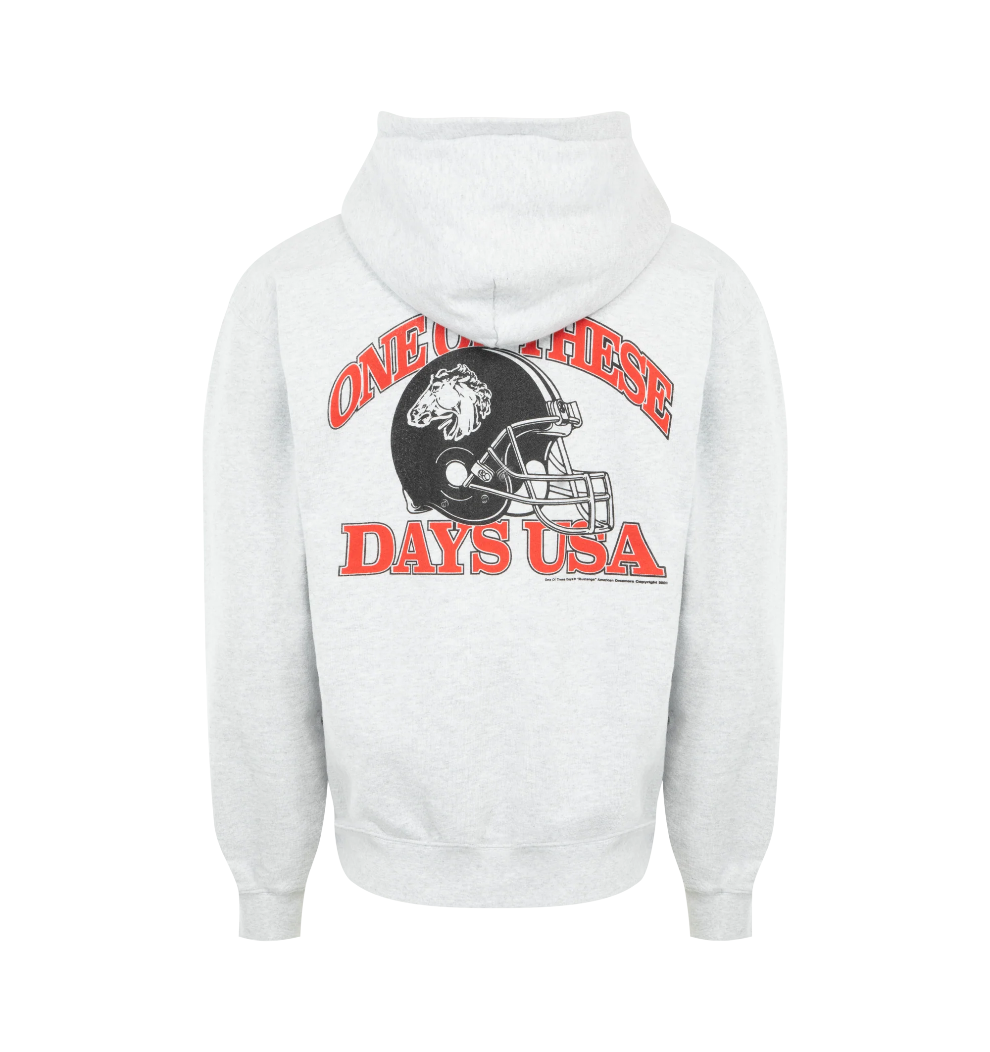 DAYS USA ZIP UP HOODIE (MENS) - Image 2